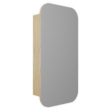 Nomad 600mm Wall Hung Vanity with Basin & Rectangular Shaving Cabinet Package